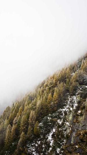 今日吃瓜 网红黑料截图3