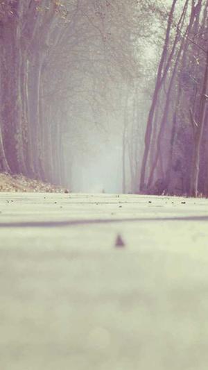 51吃瓜首页截图3