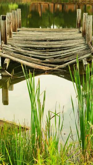 吃佛手瓜的大忌截图2