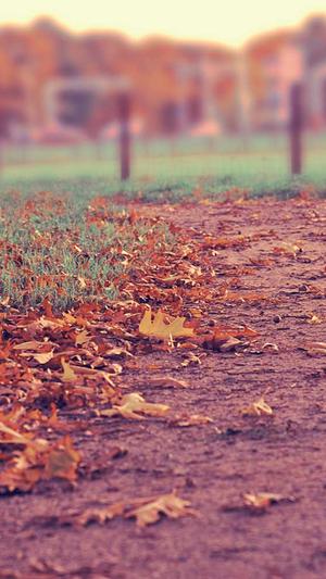 黑料在线观看截图2