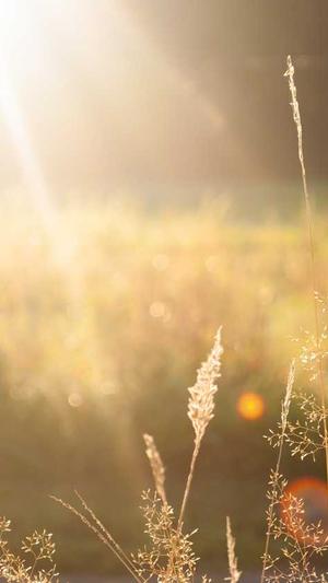 安妮海瑟薇黑料截图2