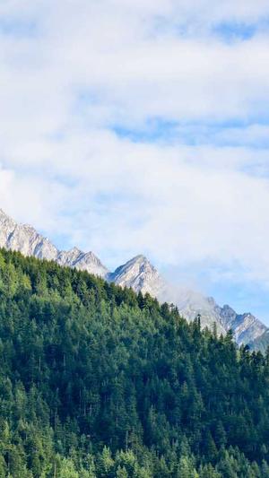 宋亚轩黑料截图3