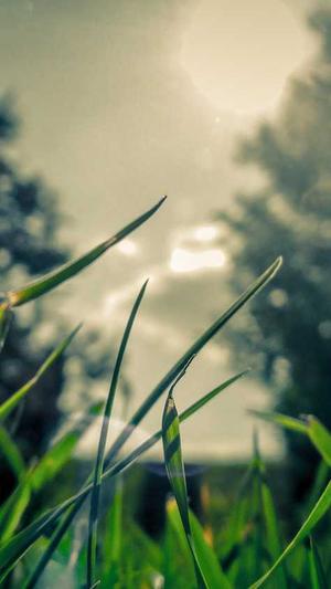 tttzzz黑料不打烊网址截图3