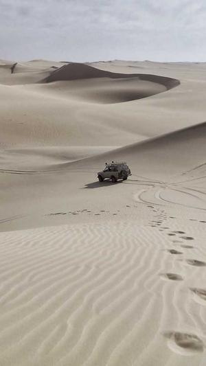 吃哈密瓜不能吃什么截图2