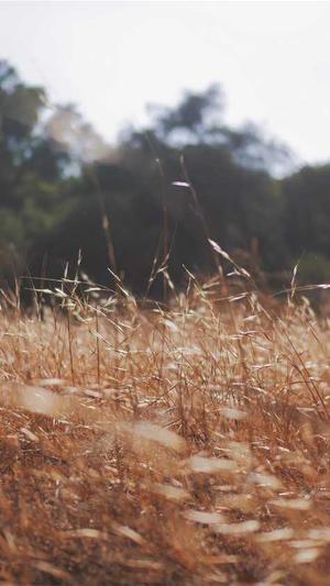 51吃瓜网今日吃瓜截图2