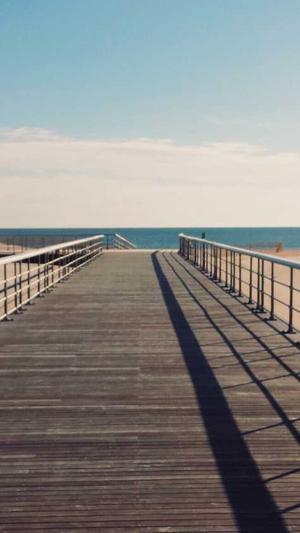 蛇瓜的瓤可以吃吗截图2