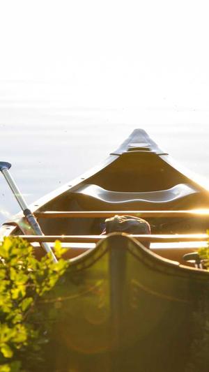 兰瓜不能和什么一起吃截图1