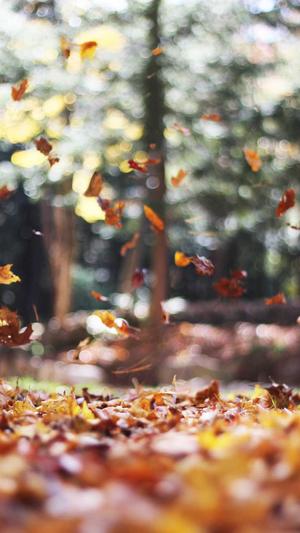 喝中药可以吃哈密瓜吗截图4