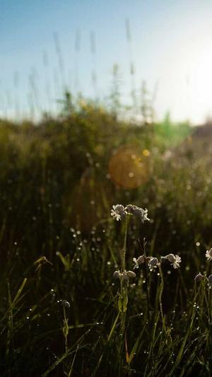有哪些吃瓜的网站截图3