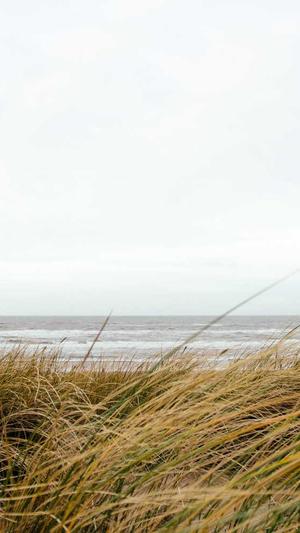 孕妇可以吃白瓜吗截图3