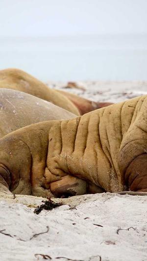 51cg10吃瓜热点截图3