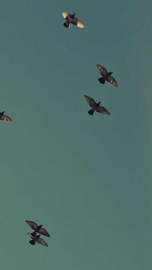 黑料不打烊tttzzz官网截图3