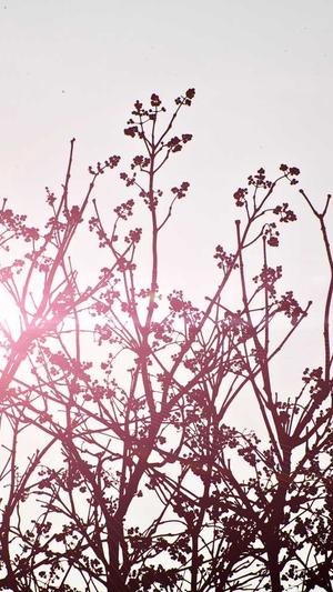 吃瓜黑料网站截图4