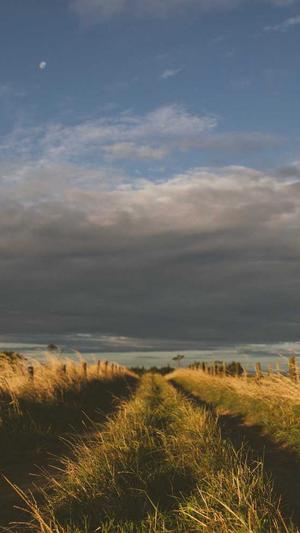 黑料老司机万里长征截图1