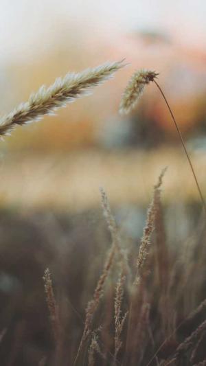 51吃瓜今日吃瓜截图4