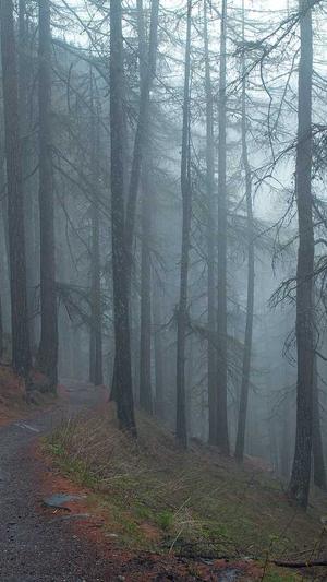 黑料不打烊tttzzz07截图2