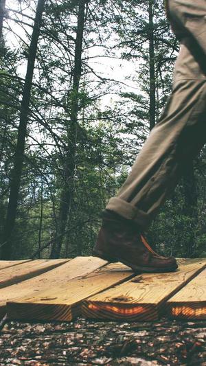 黑料老司机万里长征截图2