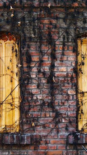 uzi黑料整理截图4