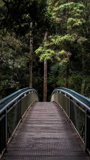 佛手瓜的籽可以吃吗截图3