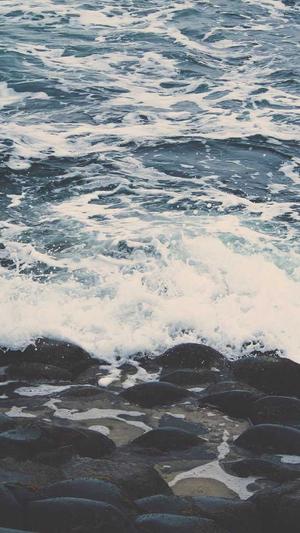 黑料社官网截图2