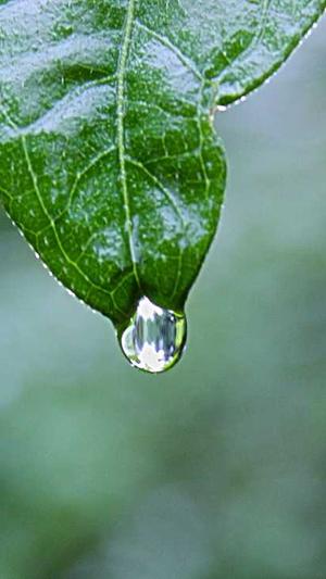 万篇长征-黑料不打烊最新截图1