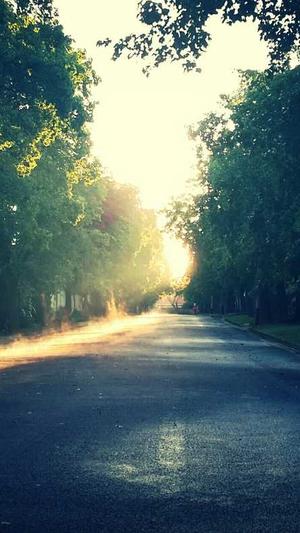 有瓜石斛孕妇可以吃吗截图1