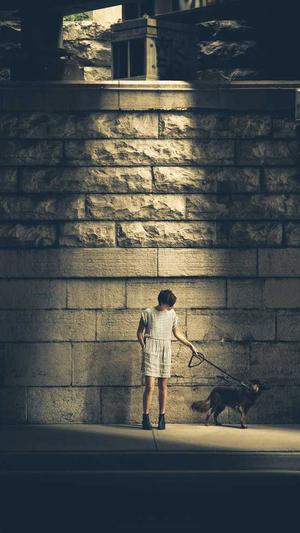 晚上吃哈密瓜好不好截图1