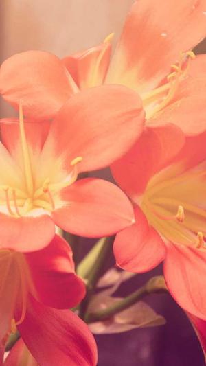 网络吃瓜社截图3