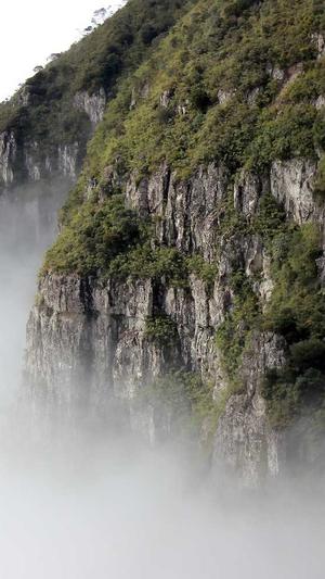 吃哈密瓜过敏的红疹图截图3