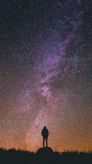 吃籽瓜会发胖吗截图3