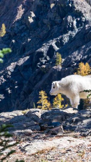 黑料不打烊传送门截图5