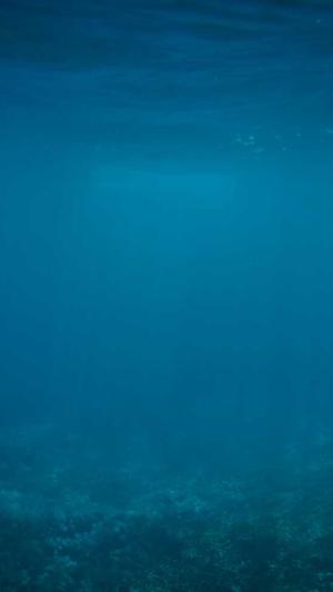 热门吃瓜事件截图1