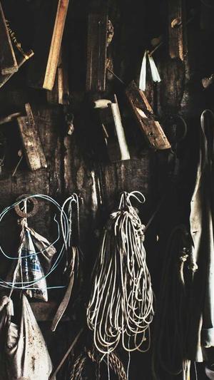 吃瓜喝水群众表情包截图2