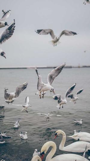 黑料不打烊官网截图5