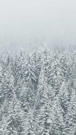 黑料不打烊zzzttt截图1