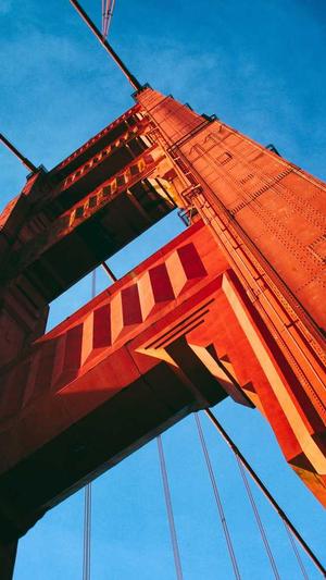 哈密瓜的籽可以吃吗截图3