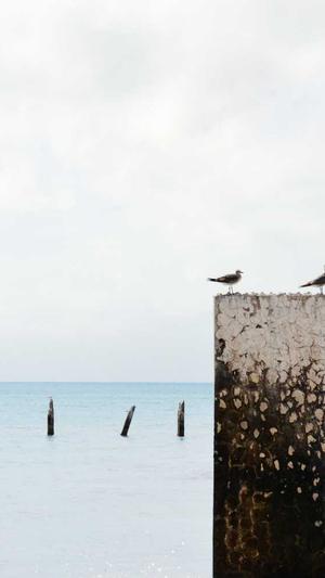 孕期吃哈密瓜的好处截图3