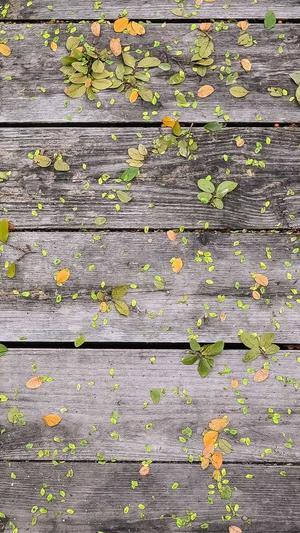 经期吃哈密瓜好吗截图3