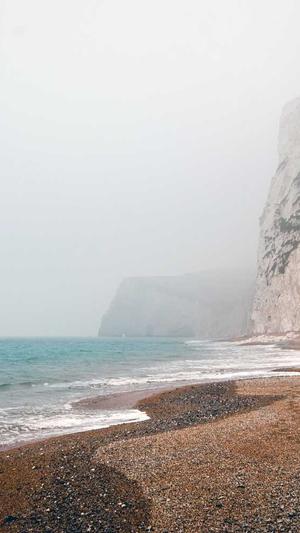 黑社料下载截图2