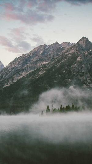 聚氨酯发泡黑料白料截图3