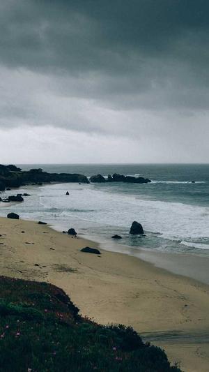 靠黑料红的主播截图3