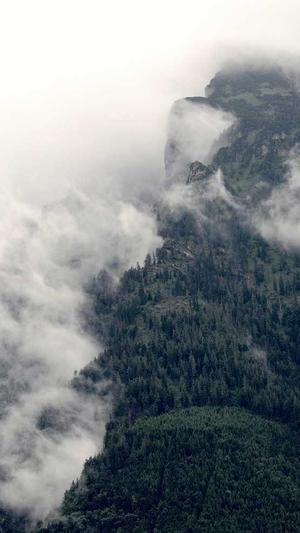 伯爵府吃瓜日常截图3