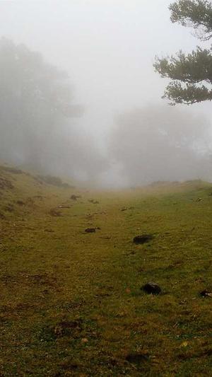 孕妇可以吃哈密瓜吗吗截图4